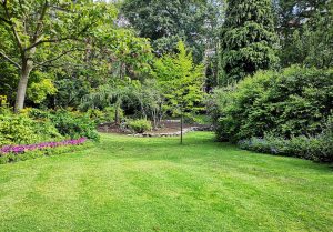 Optimiser l'expérience du jardin à Montancy